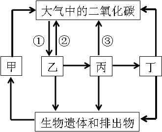 2019年四川教師資格證考試大綱：《科學(xué)學(xué)科知識(shí)及教學(xué)能力》（初級(jí)中學(xué)）