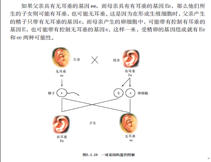 2019年四川教師資格證考試大綱：《科學(xué)學(xué)科知識(shí)及教學(xué)能力》（初級(jí)中學(xué)）